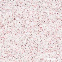 70 100 085 red dream Wolcolor Baumwollputz.jpg