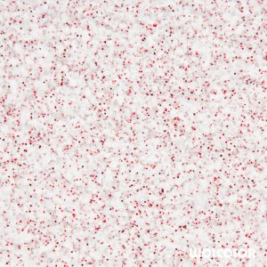 70 100 085 red dream Wolcolor Baumwollputz.jpg