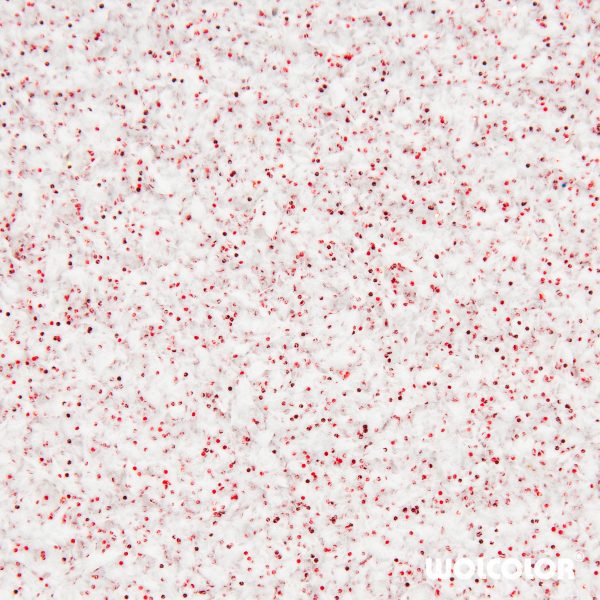 70 100 085 red dream Wolcolor Baumwollputz.jpg