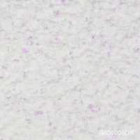 18 010 217 magic flower Wolcolor Baumwollputz.jpg