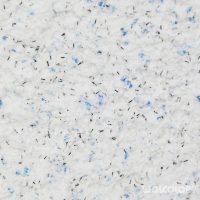 18 010 054 doubleblueblack Wolcolor Baumwollputz.jpg