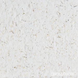 18 007 007 white diamond Wolcolor.jpg