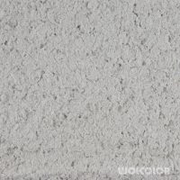 18 010 006 celtic black Wolcolor.jpg