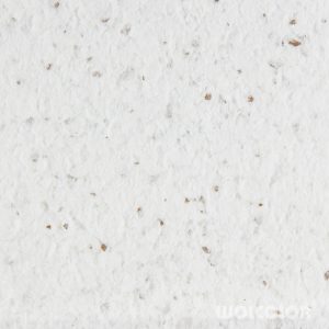 18 010 067 weiße Steppe Wolcolor.jpg