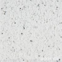 18 010 197 silverblack Wolcolor.jpg