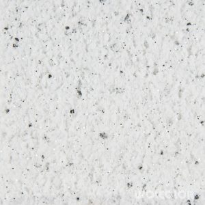 18 010 197 silverblack Wolcolor.jpg