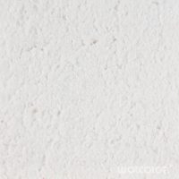 18 010 235 champagner Wolcolor.jpg