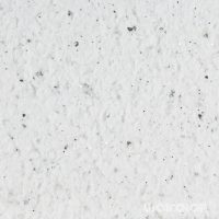 70 100 018 noir Wolcolor.jpg