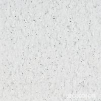 70 100 029 silber Wolcolor.jpg