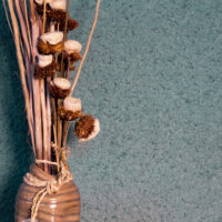 PETROL | BAUMWOLLPUTZ | CLASSIC 3 a vase with dried flowers and sticks